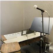 Impartisco lezioni di canto moderno, pianoforte classico/moderno e teoria e solfeggio a bambini e adulti